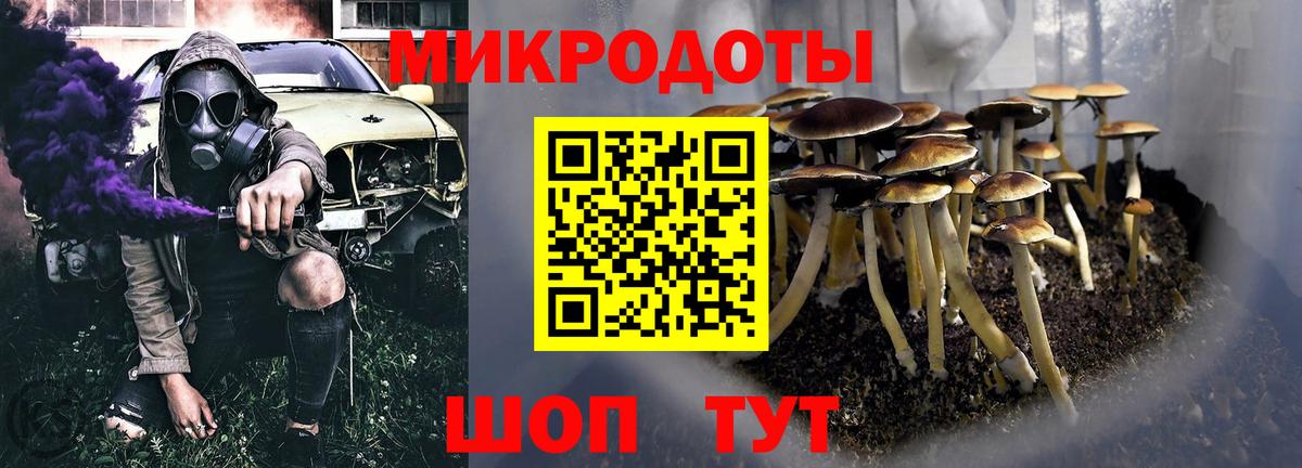 что такое   Псилоцибиновые грибы Psilocybe  Вход с VPN  Псилоцибиновые грибы MAGIC MUSHROOMS  Хасавюрт 